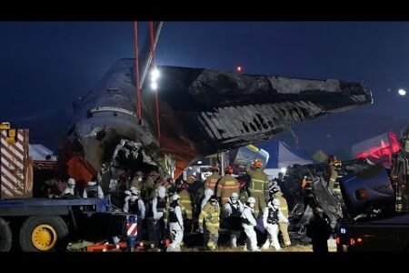 A chicken strike might have brought on South Korea airplane crash, official says
