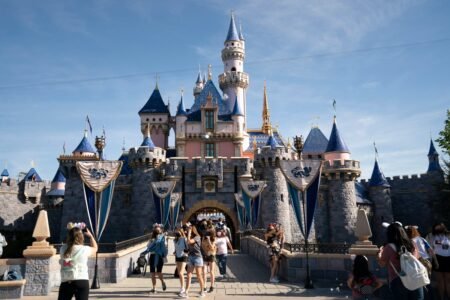 Canadian man arrested for wandering Disneyland fully bare
