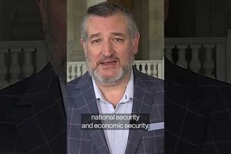 What Ted Cruz has urged to Trump on tariffs#shorts #tariffs #trumptariffs #tedcruz #politics