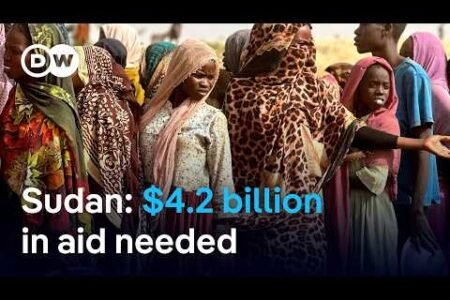 What the world must do to assist the individuals of war-torn Sudan | DW News