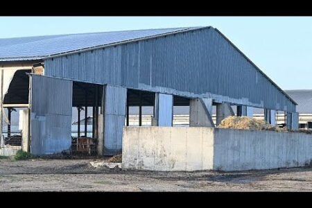 Farm animals buried close to Austria-Hungary border after foot-and-mouth illness outbreak