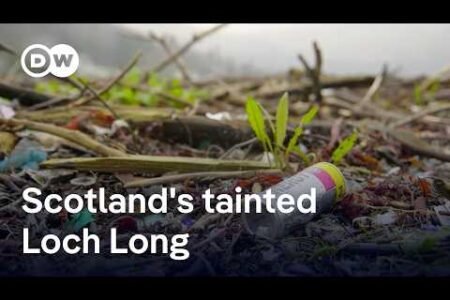 What is polluting certainly one of Scotland’s most distant lochs? | Focus on Europe