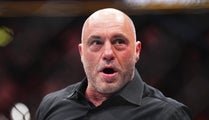 President Trump Schmoozes With Supporters At UFC Fight In Miami